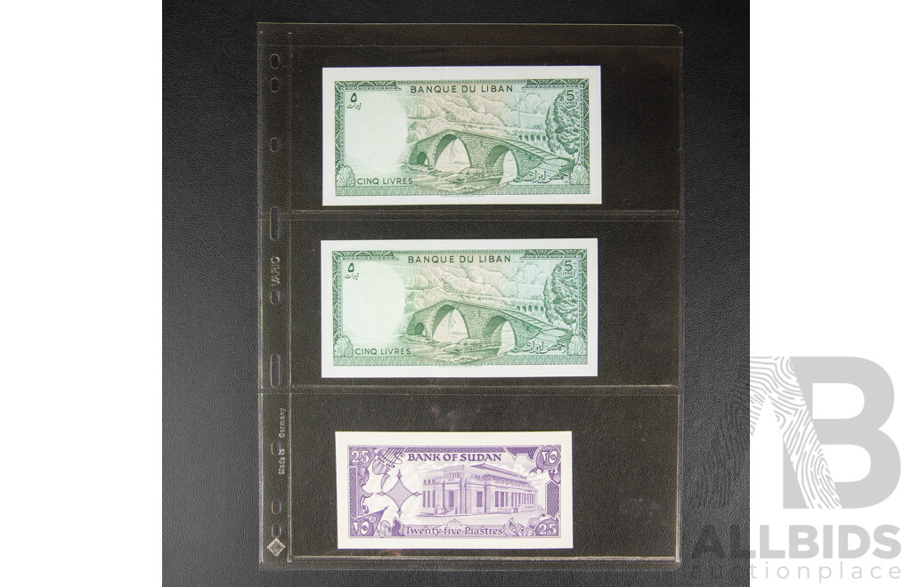 Collection of International Banknotes Including Ukraine, Lithuania, Cambodia, Bangladesh, Nicaragua, Lebanon, Sudan, Poland, Indonesia, Egypt
