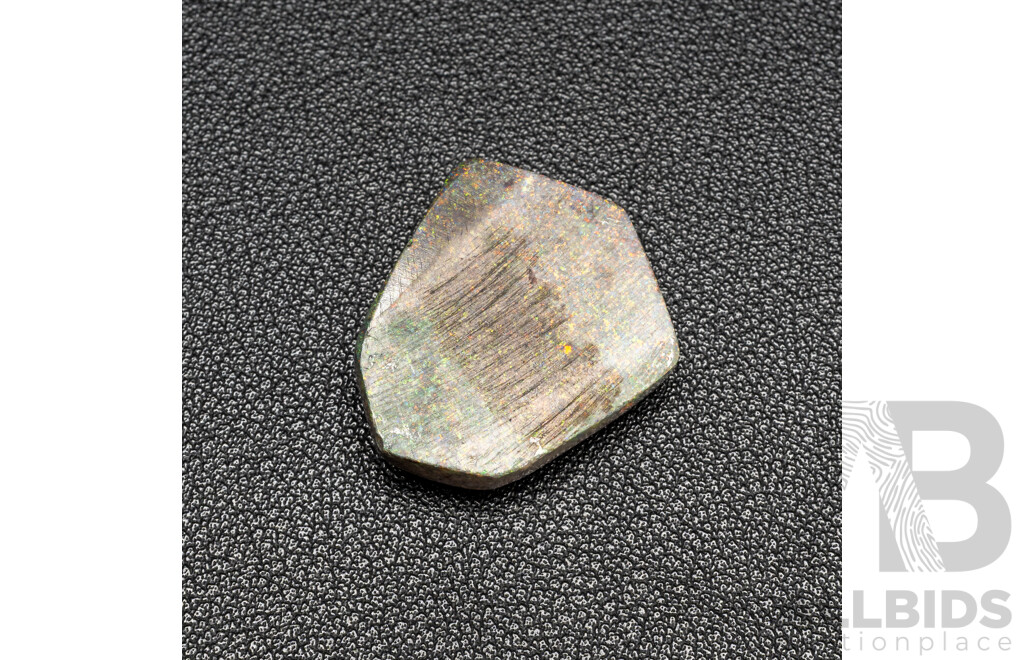 29.45ct Elongated Shield Cut Lightning Ridge Black Opal