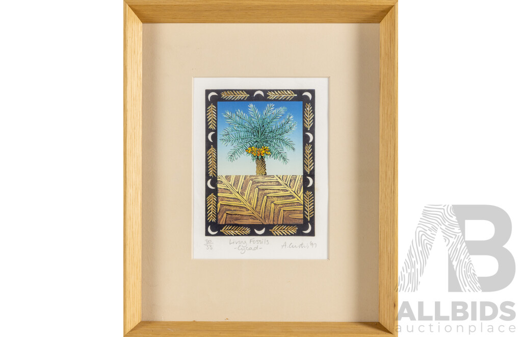 A. Curtis, (20th Century), Living Fossils - Cycad (1997), Original Signed & Editioned Hand Coloured Lithograph, 41 x 33 cm (frame)