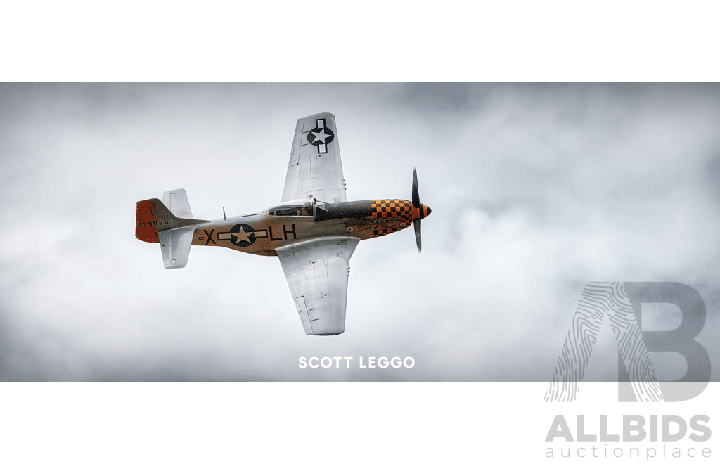 Scott Leggo Artwork - DOVE OF PEACE