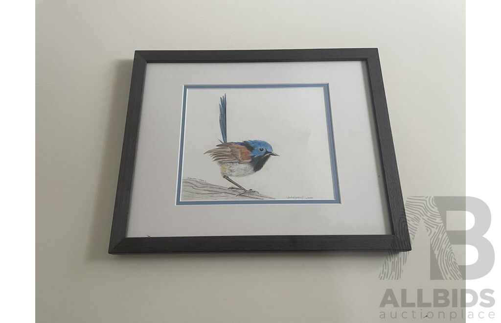 Original Framed Pencil Drawing