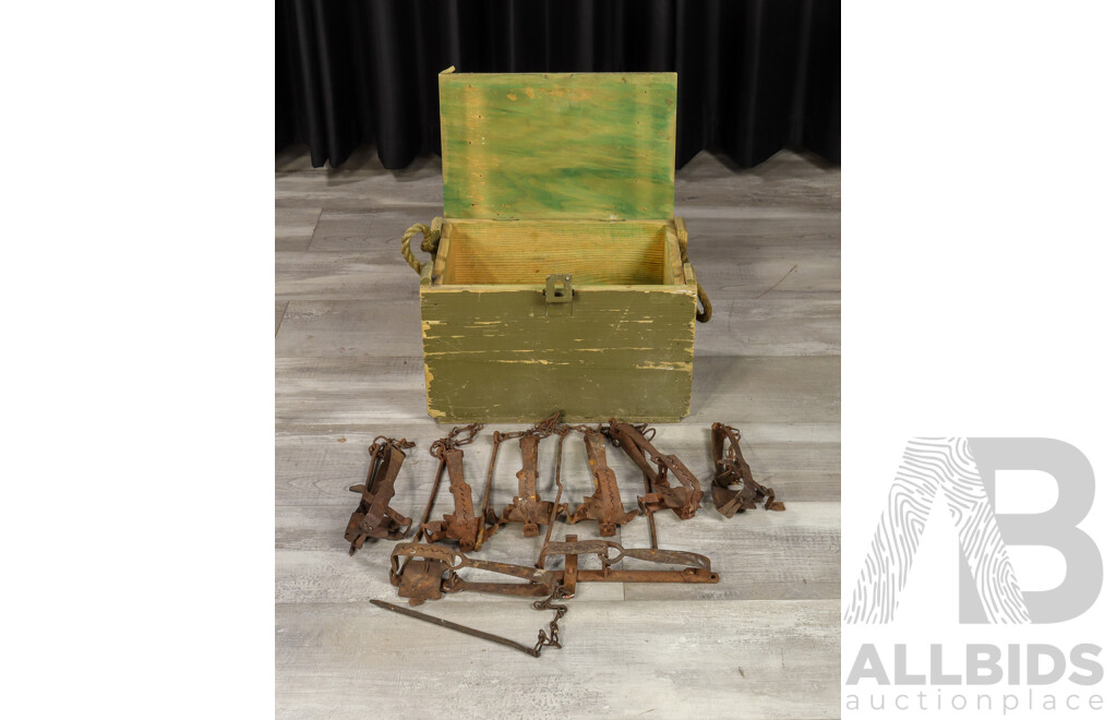Vintage Timber Ammunition Box with Rabbit Traps