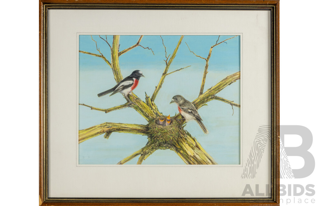 Artist Unknown, (20th Century), Scarlet Robin, Nice Vintage Original Watercolour & Gouache, 45 x 53 cm (frame)