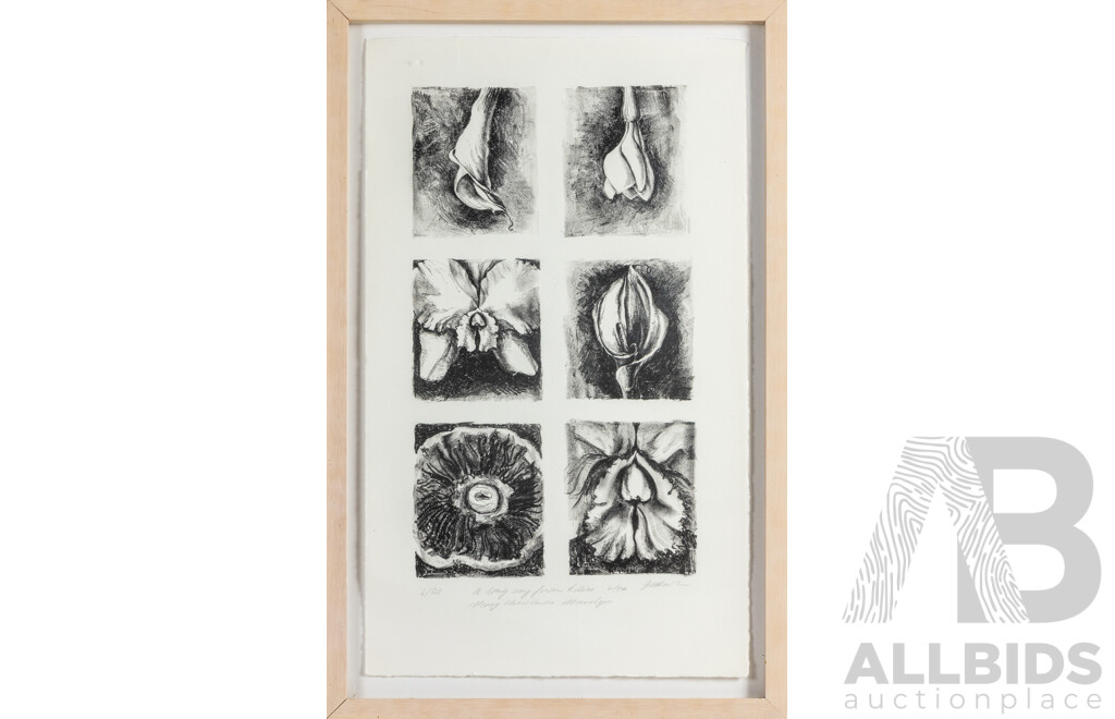 Jenny Bowker, (20th Century, Australian), a Long Way From Lilies, Editioned & Signed Original Lithograph, 57 x 37 cm (frame)