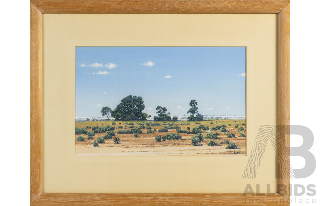 Jeff Rigby, (20th Century, Australian, 1948-), Lake Bed & Murray Pine (1989), Wonderful Original Gouache on Paper, 41 x 53 cm (frame)