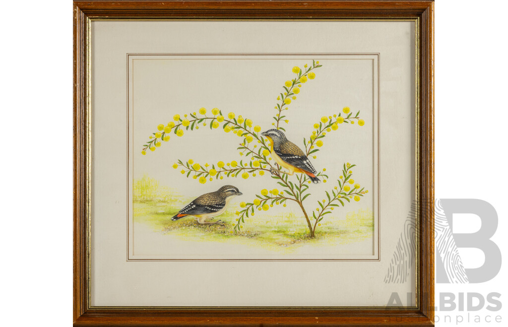 A.J.T., (20th Century, Australian), Spotted Pardalote (1993), Original Watercolour & Gouache, 38 x 42 cm (frame)