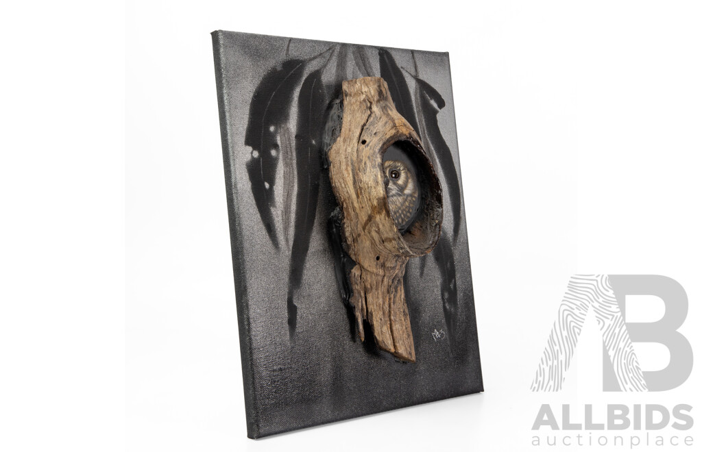 Marianne Schager (Mez), (20th Century, Australian), Owlett Nightjar, Unique Original Scratchboard, Watercolour & Natural Tree Bark Mixed Media, 36 x 28 cm (frame)