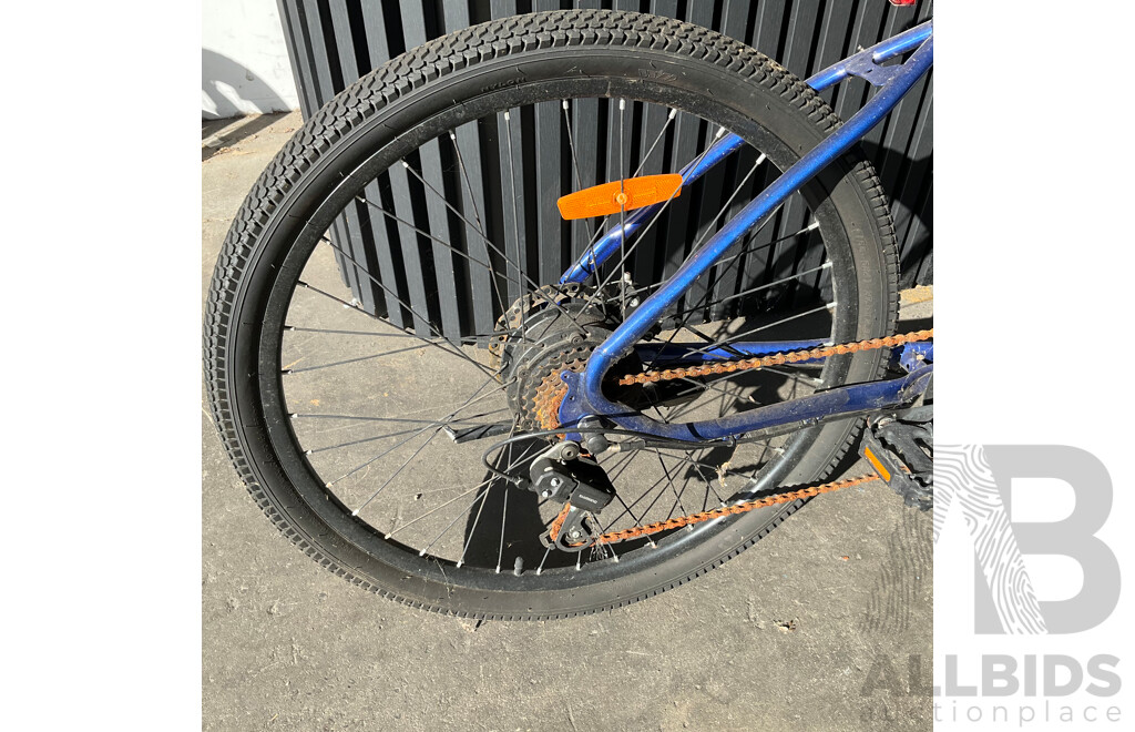 Estate E-bike