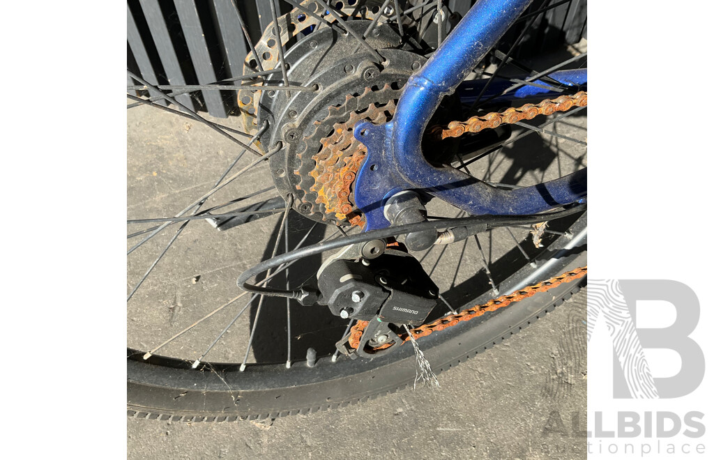 Estate E-bike