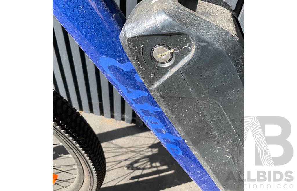 Estate E-bike