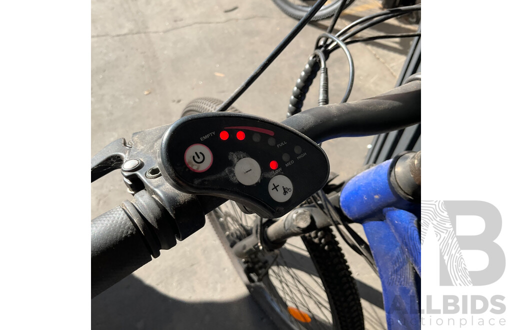 Estate E-bike
