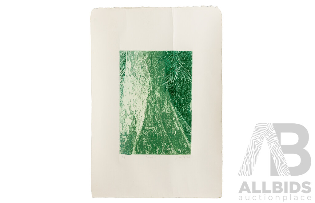 Signed Indistinctly, (20th Century), Rain Forest, Original Editioned & Signed Etching, 50H x 35W cm (sheet)