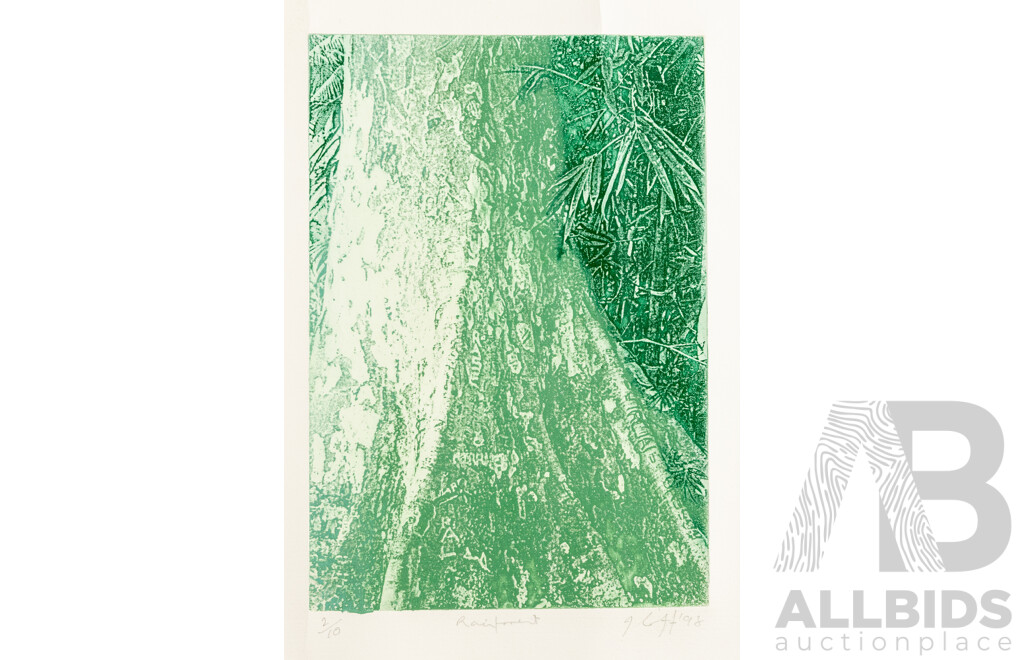 Signed Indistinctly, (20th Century), Rain Forest, Original Editioned & Signed Etching, 50H x 35W cm (sheet)