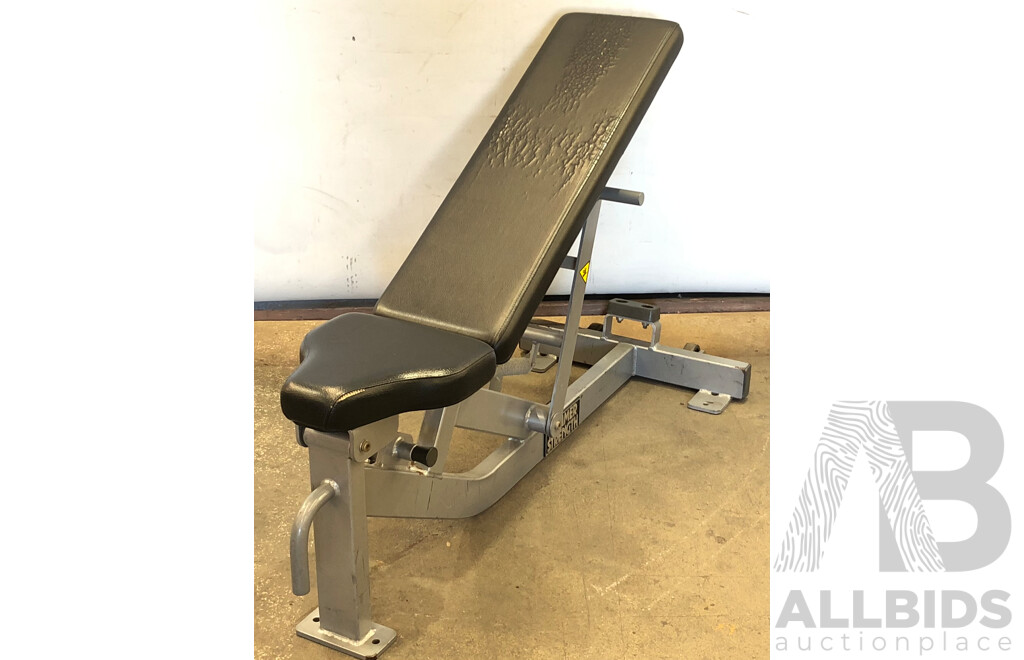 Hammer Strength Multi Adjustable Bench