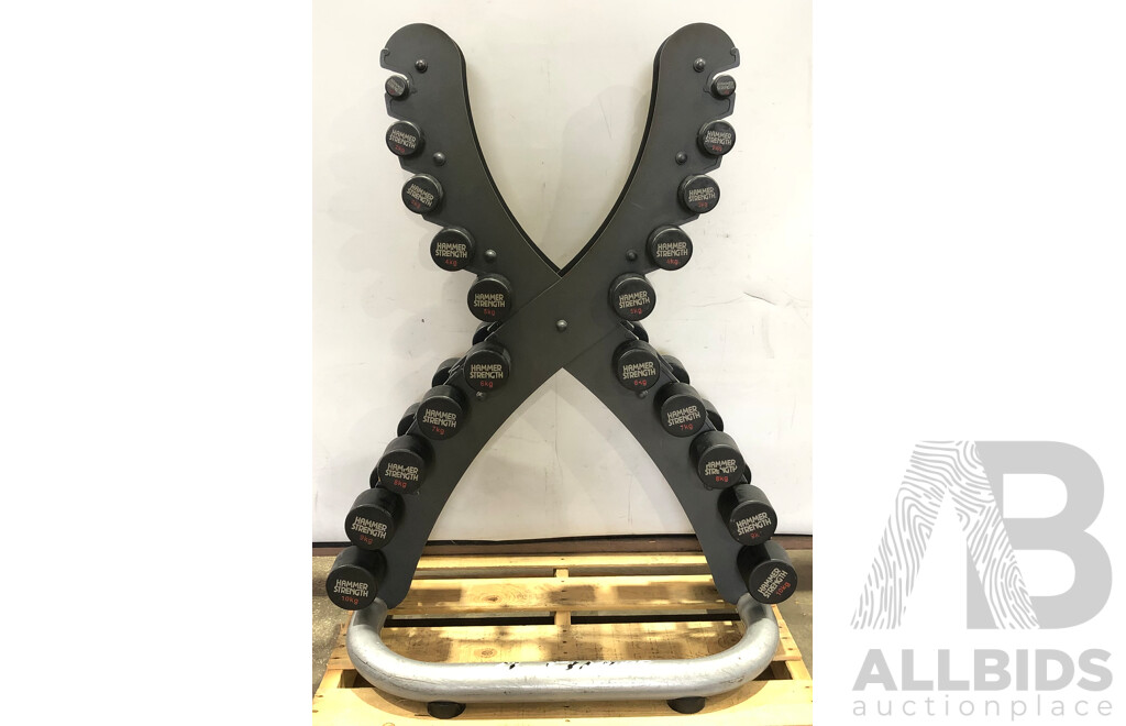 X Vertical Dumbbell Rack with 20 Hammer Strength 1kg to 10Kg Dumbbells