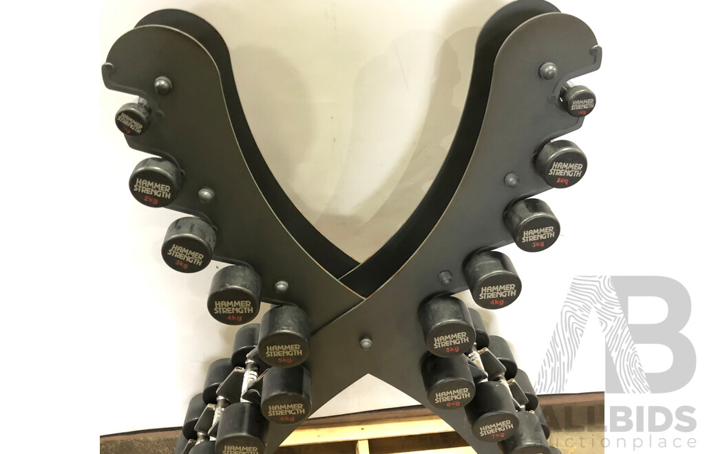 X Vertical Dumbbell Rack with 20 Hammer Strength 1kg to 10Kg Dumbbells