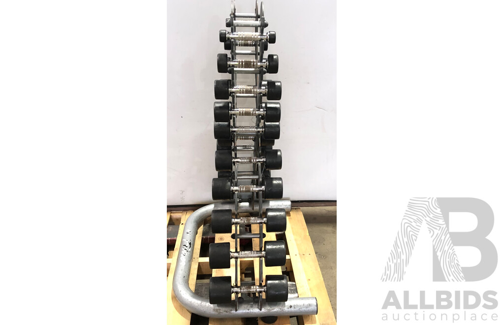 X Vertical Dumbbell Rack with 20 Hammer Strength 1kg to 10Kg Dumbbells