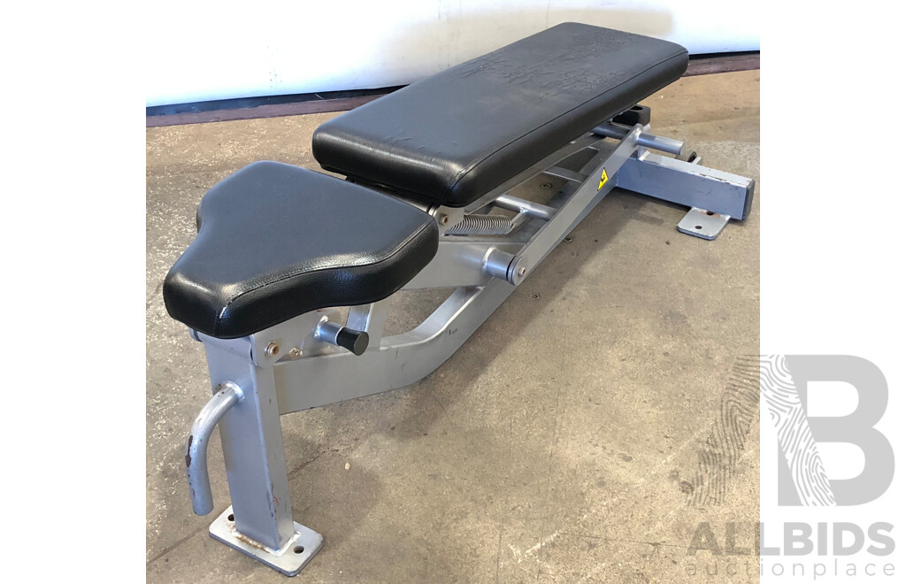 Hammer Strength Multi Adjustable Bench