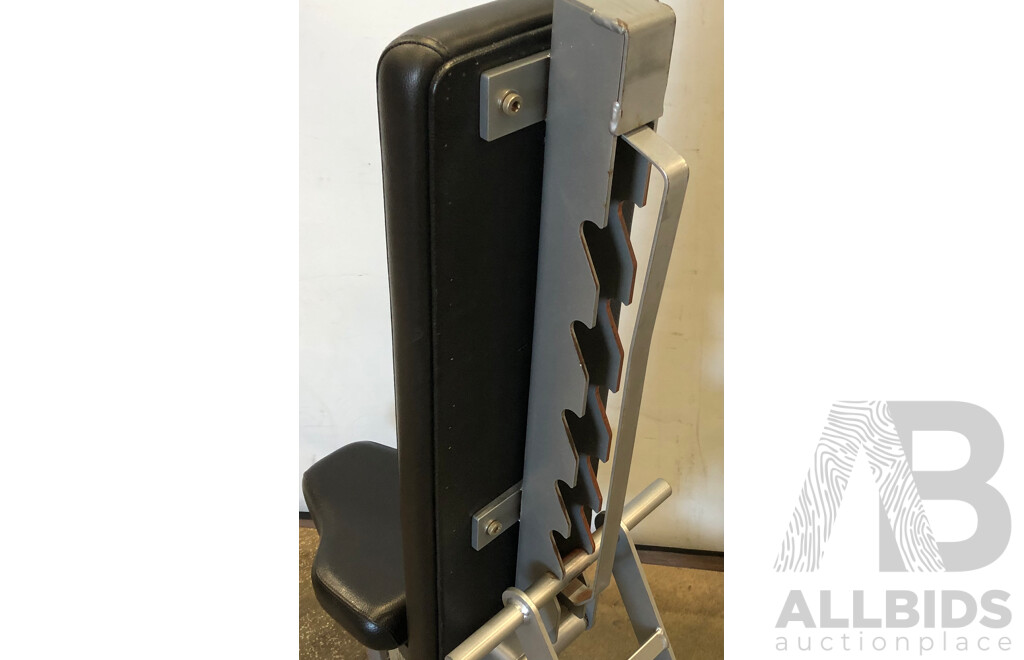 Hammer Strength Multi Adjustable Bench
