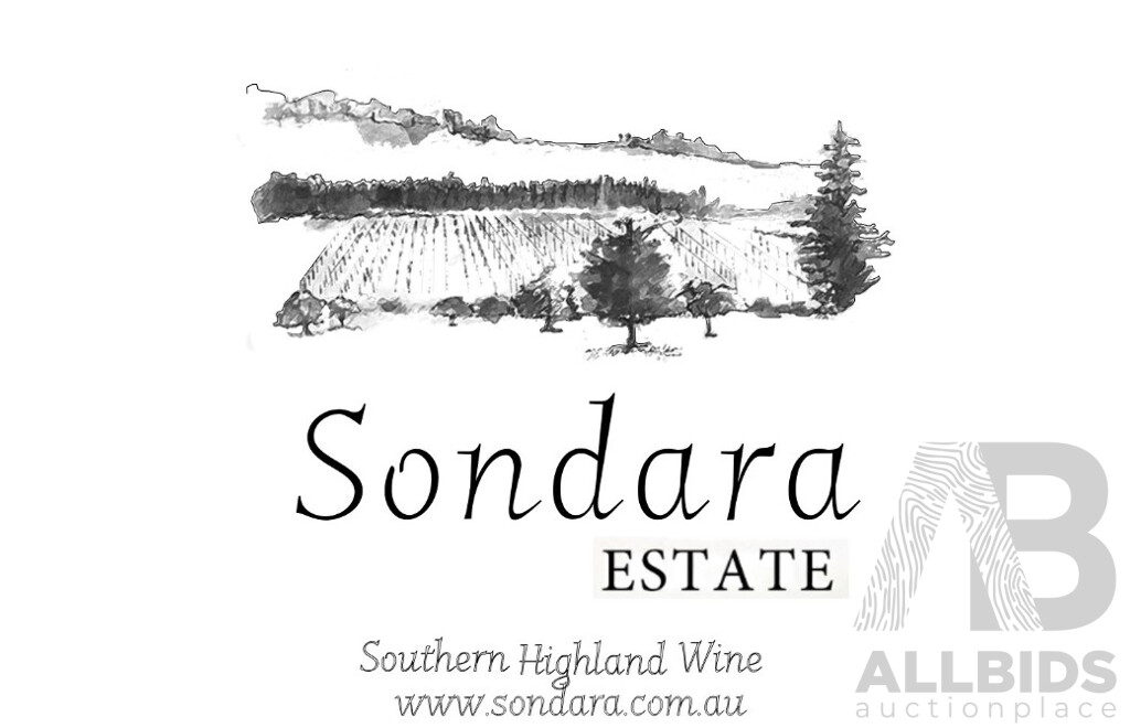 Vineyard Picnic Experience