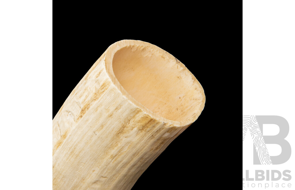 Large Carved African Horn