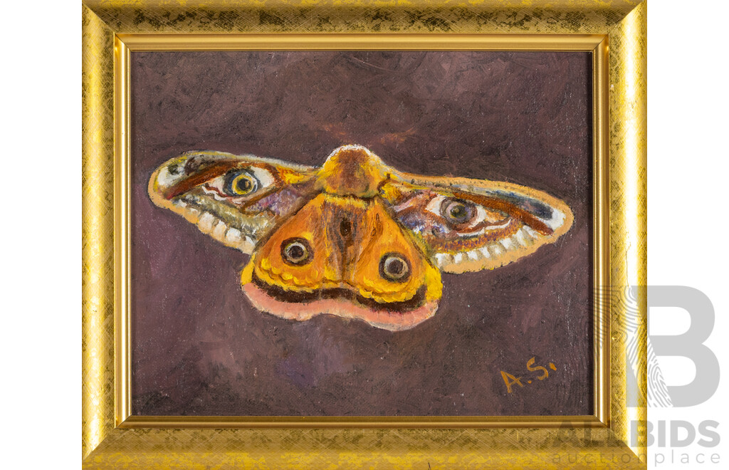 Angela Stankovic (20th Century, Australian), Moth, Original Oil on Canvas, 25H x 30W cm (frame)