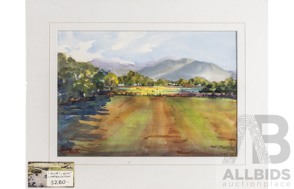 Sally Black (20th Century, Australian), Duri, NSW, Original Watercolour, 36H x 46W cm (with mat board)
