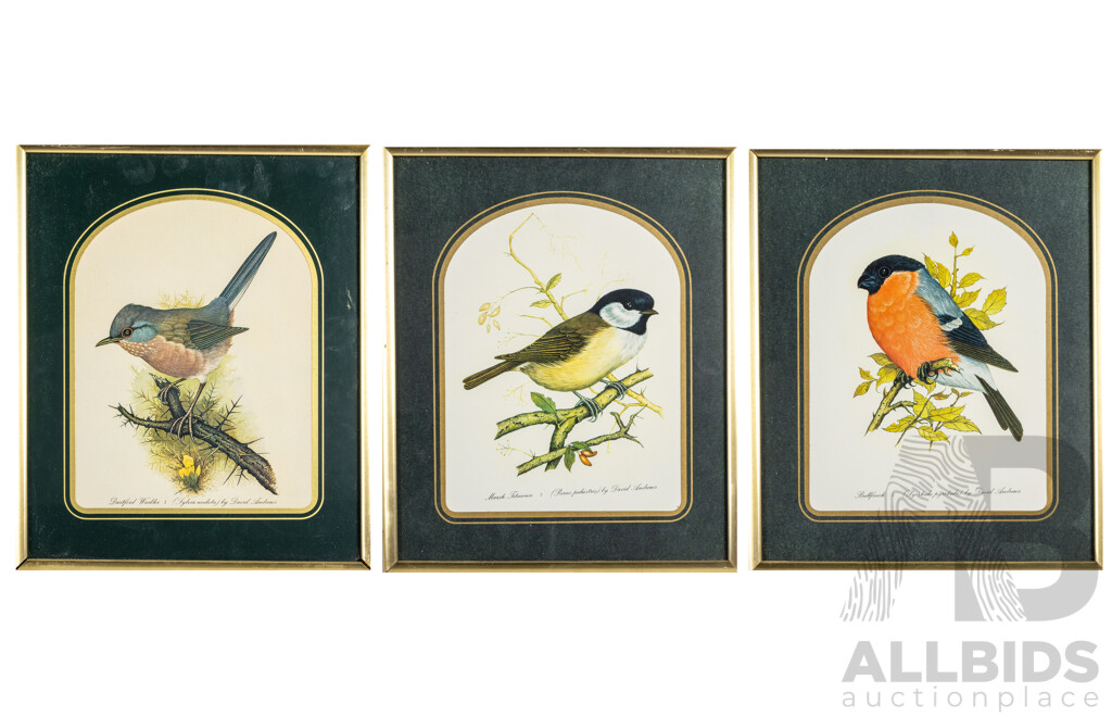 David Andrews (20th Century, British, 1938-), Dartford Warbler, Marsh Titmouse & Bull Finch, Trio of Vintage Colour Prints After Originals, 32H x 27W cm (frames) (3)