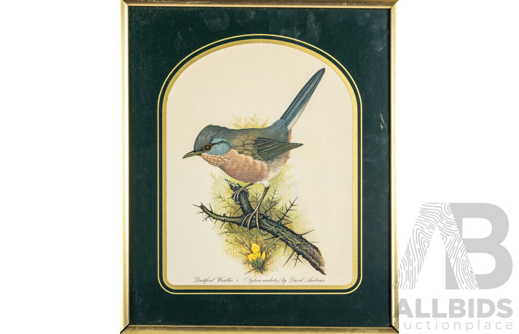 David Andrews (20th Century, British, 1938-), Dartford Warbler, Marsh Titmouse & Bull Finch, Trio of Vintage Colour Prints After Originals, 32H x 27W cm (frames) (3)