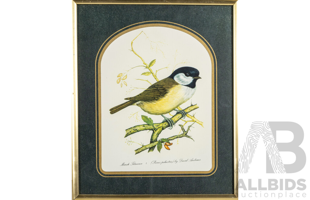 David Andrews (20th Century, British, 1938-), Dartford Warbler, Marsh Titmouse & Bull Finch, Trio of Vintage Colour Prints After Originals, 32H x 27W cm (frames) (3)