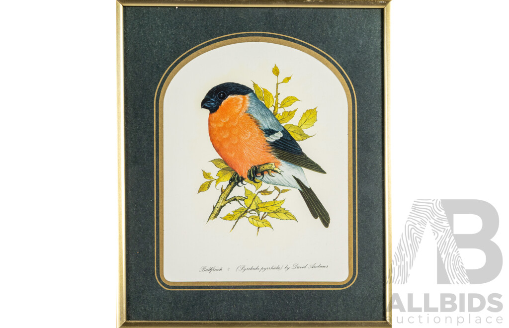 David Andrews (20th Century, British, 1938-), Dartford Warbler, Marsh Titmouse & Bull Finch, Trio of Vintage Colour Prints After Originals, 32H x 27W cm (frames) (3)