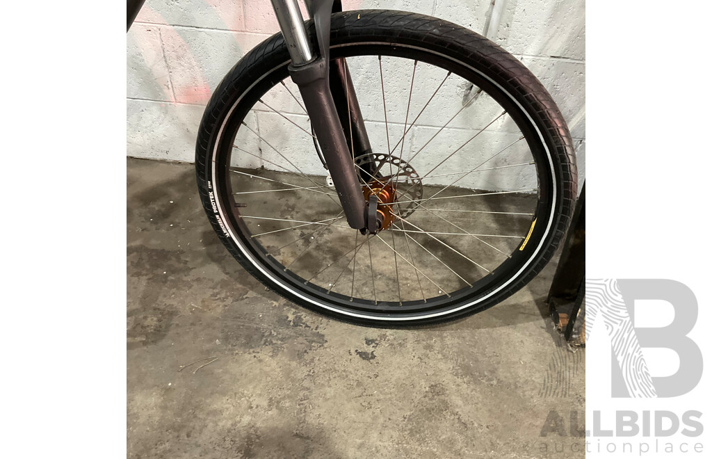 Brand Unknown Bike