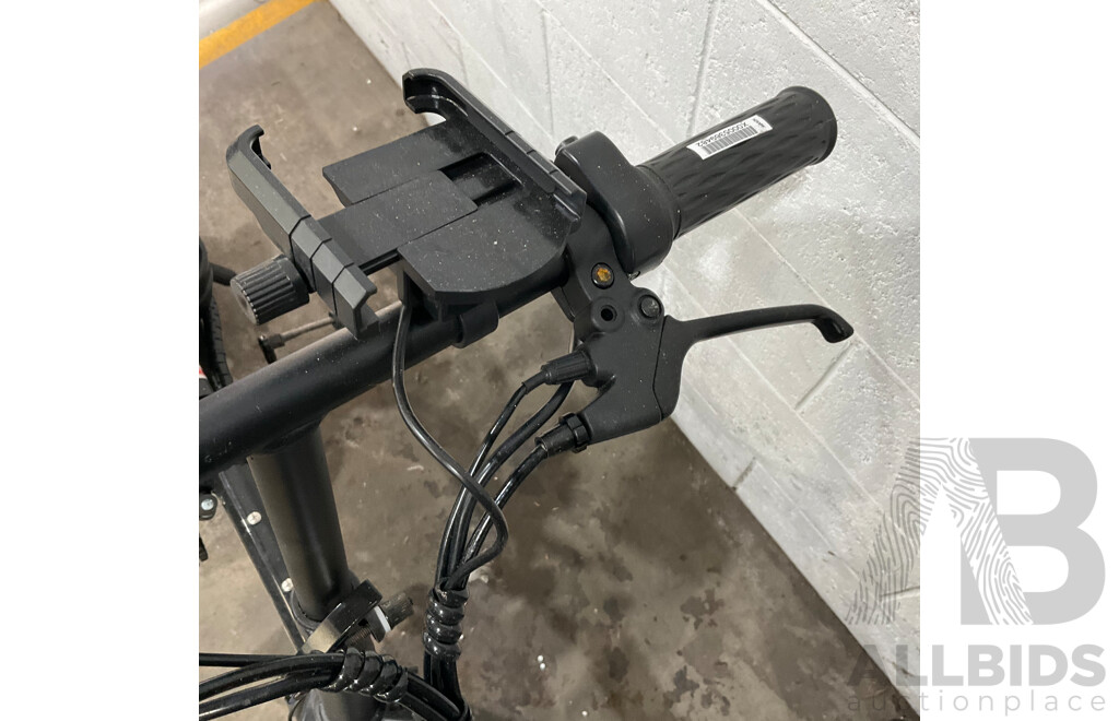 Flying PIGEON E-bike