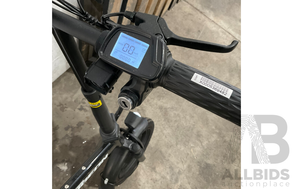 Flying PIGEON E-bike