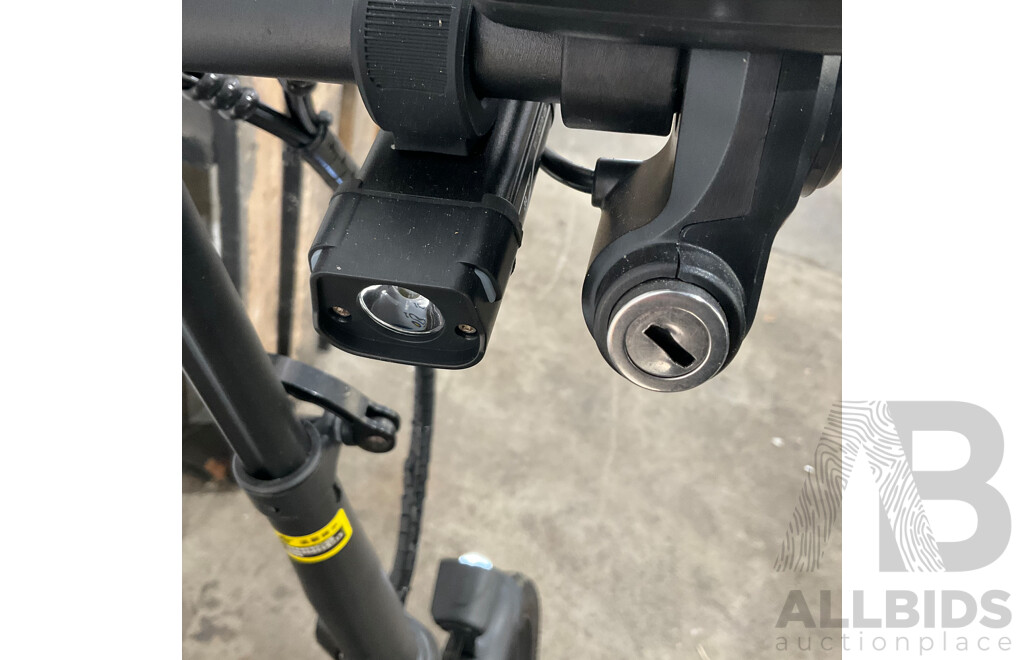 Flying PIGEON E-bike