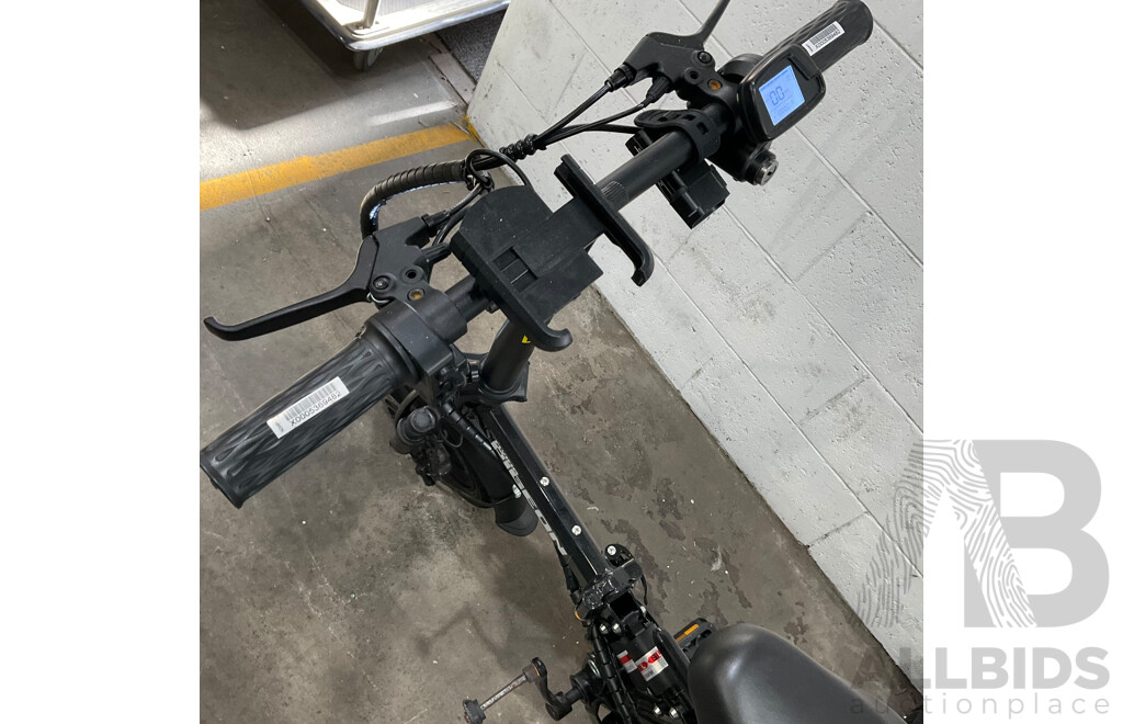 Flying PIGEON E-bike