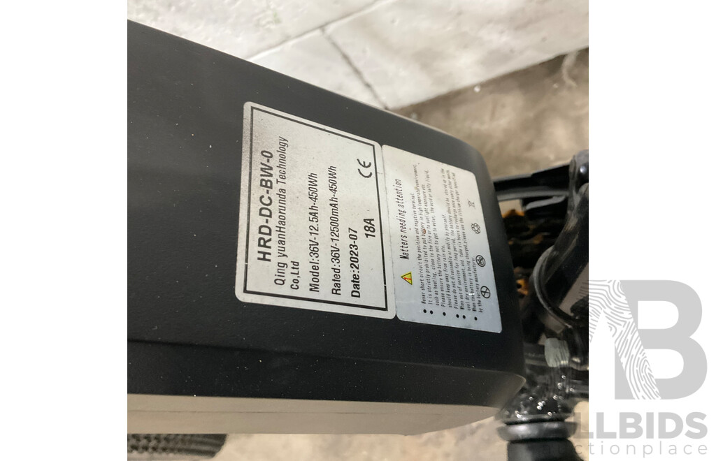 Unknown Brand E-bike