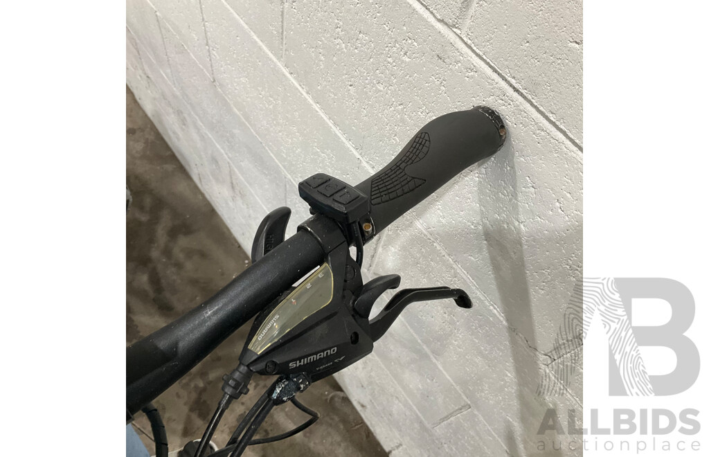 Blue E-Bike