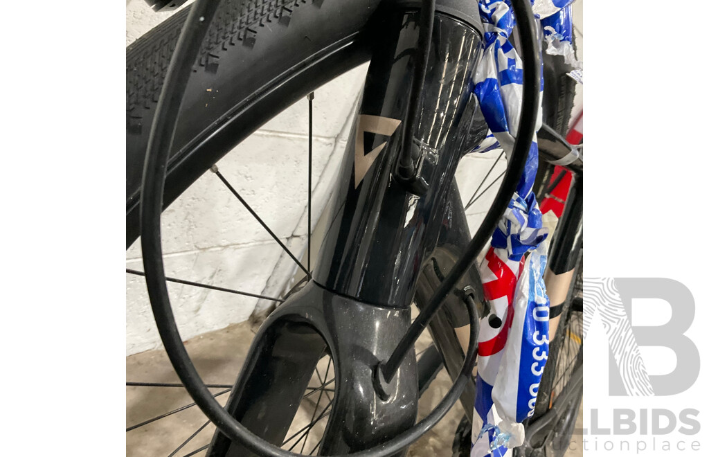 Giant Fastroad AR Bike Frame and Parts