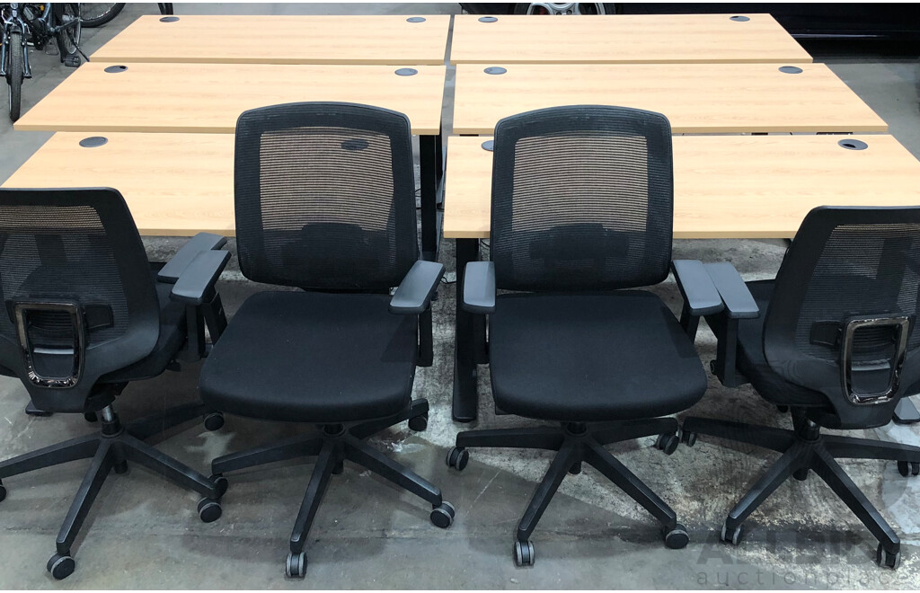 Six Electric Height Adjustable Sit to Stand Desks and Four Gaslift Chairs