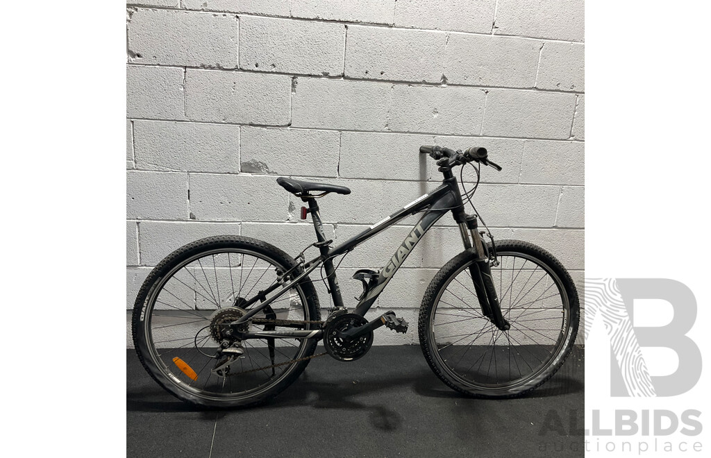 GIANT Revel Mountain Bike