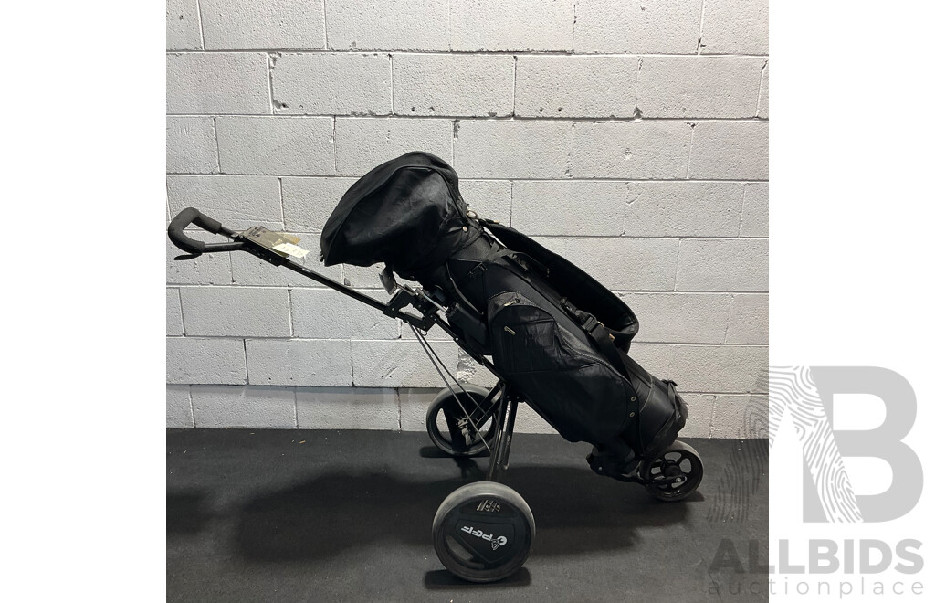 PGF Status Golf Clubs with Carry Bag & Other