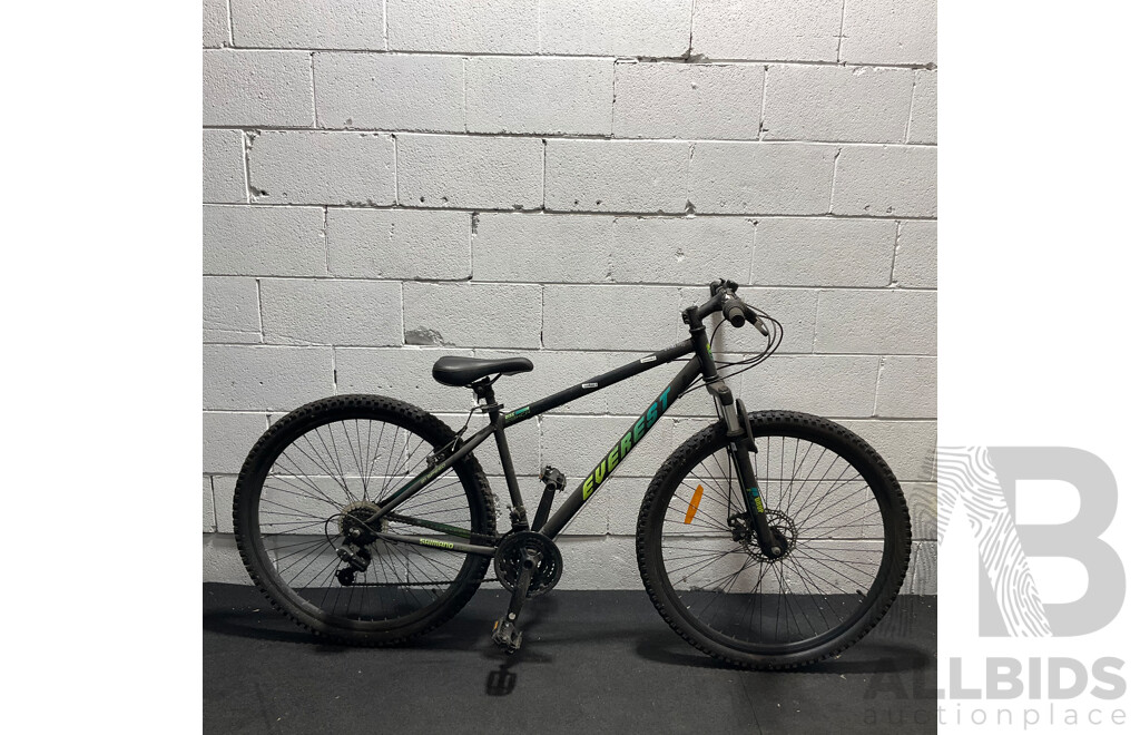 EVERLAST Mountain Bike