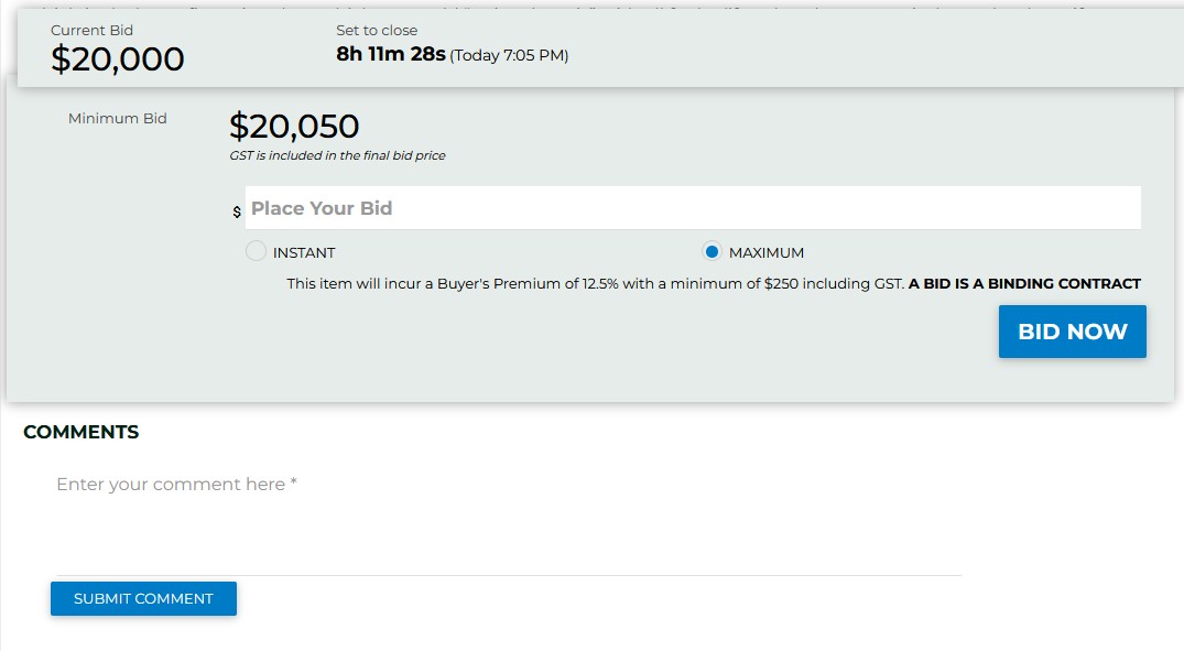 You can choose between Instant and Maximum bids.