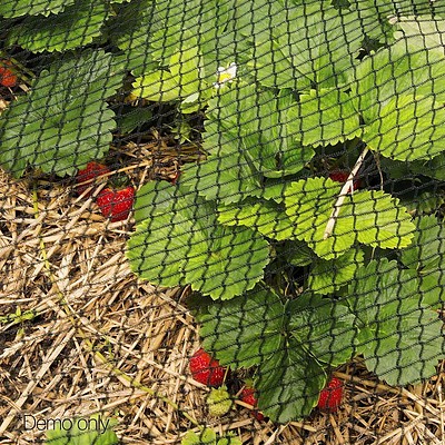 Nylon Bird Net - Brand New - Free Shipping