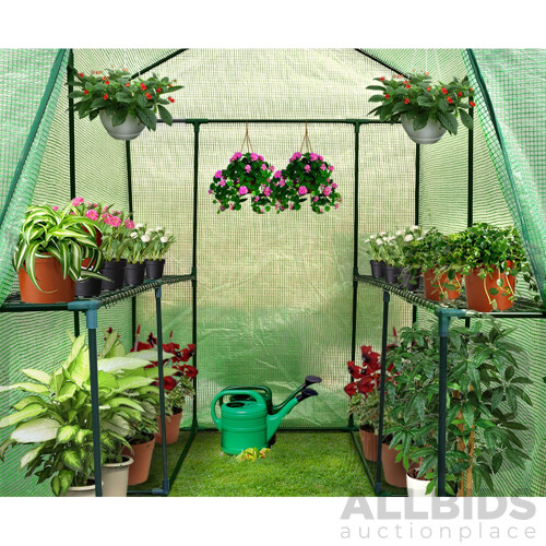 Greenhouse Garden Shed Green House 1.9X1.2M Storage Plant Lawn - Brand New - Free Shipping