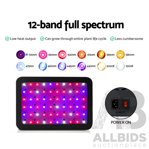 600W LED Grow Light Full Spectrum