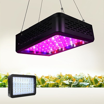600W LED Grow Light Full Spectrum