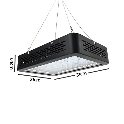 300W LED Grow Light Full Spectrum