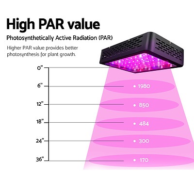 300W LED Grow Light Full Spectrum